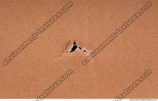 Photo Textures of Cardboard